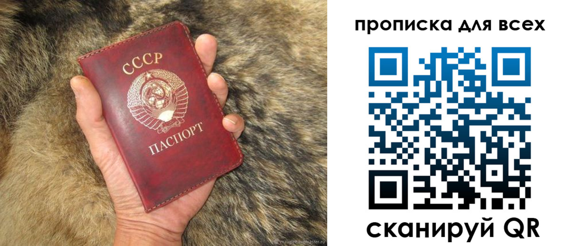 прописка в квартире в Гатчине